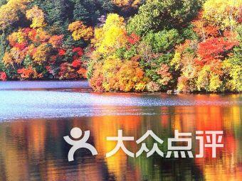 外星小怪大冒险