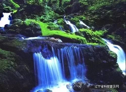 丰田子公司大发汽车被揭发测试造假后将恢复部分生产